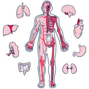 Longevity Map UltraScan 360