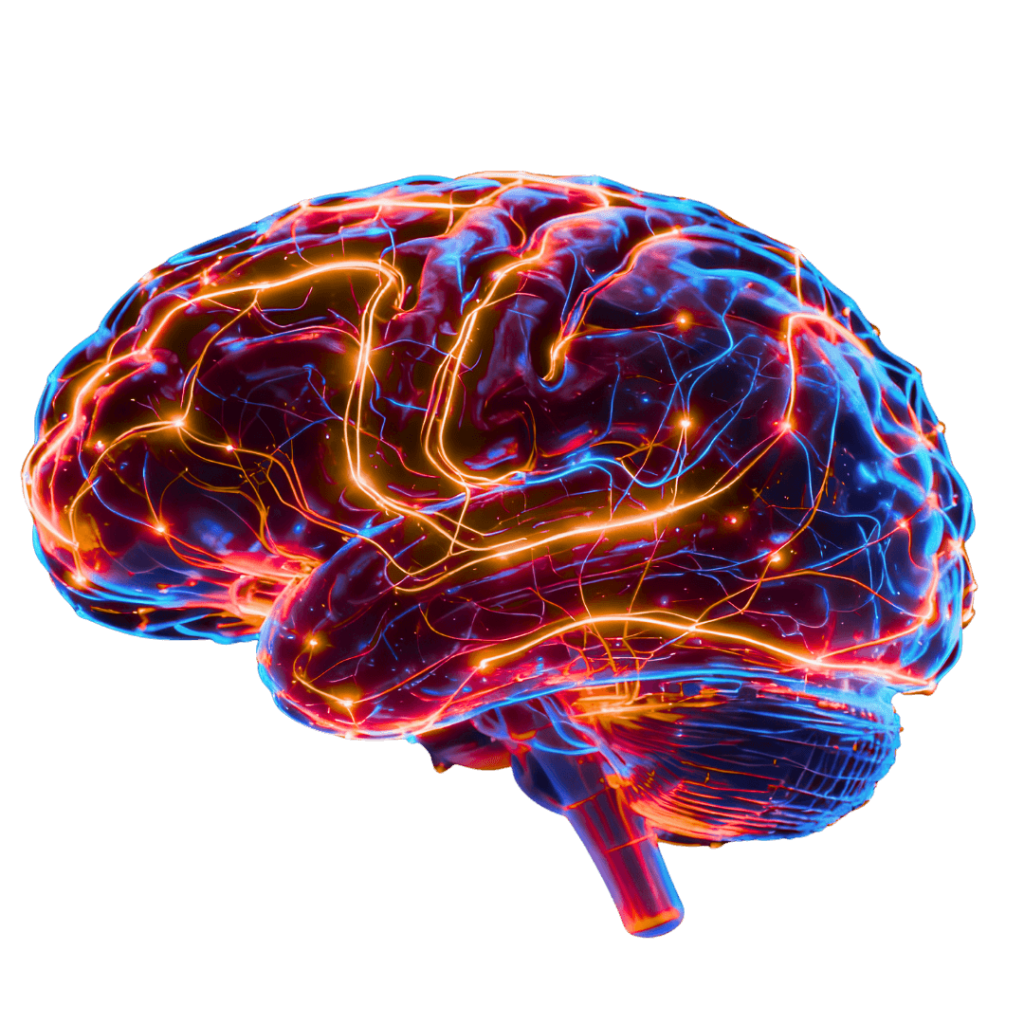 BrainMap