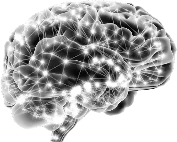 Analiza cerebrală BrainMap
